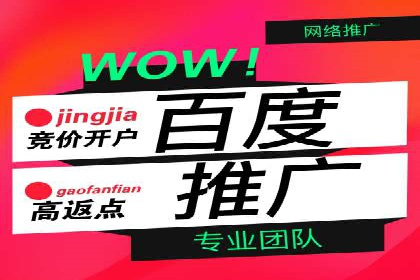 百度竞价推广案例：精准锁定目标客户